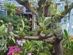 -国家植物园南园