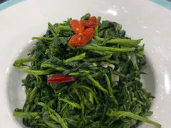 枸杞苗-老毛手抓·盐池滩羊非遗手抓(宁夏总店)