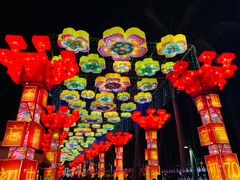 -欢乐海岸椰林沙滩-2025湾区超级灯会