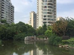 -新湖明珠城