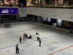 -TheRink大零溜冰场(IFS国金中心店)
