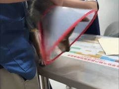 -丹景宠物医院·全科·老年病·牙科(武昌诊疗中心)