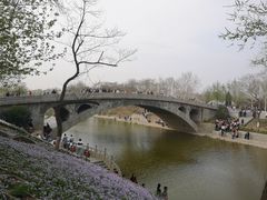 -赵州桥景区
