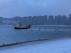 -悦海公园