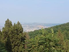 -原山国家森林公园