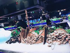 -V-ONE西雅图海鲜自助餐厅(仓山万达广场店)