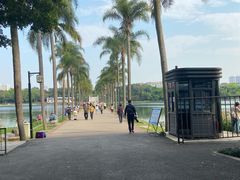 -南宁南湖公园