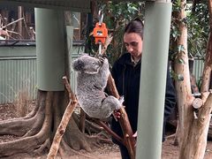 -费瑟代尔野生动物园