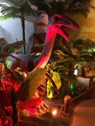 -恐龙探索乐园(磁器口店)