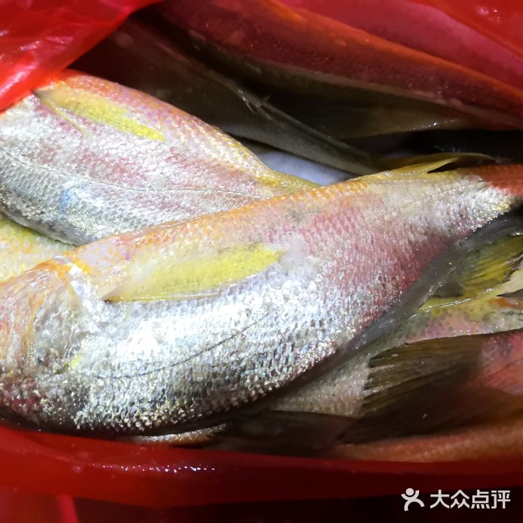金厢赶海记