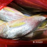 金厢赶海记