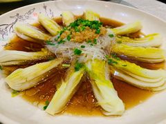 蒜蓉粉丝娃娃菜-湘德楼(德胜门外大街店)