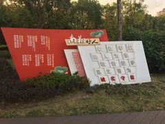 -南翔镇银翔湖公园
