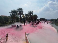 -苏州太湖西山岛开心农场