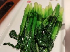 -假装苏杭·迎春花与梅(陆家嘴中心店)