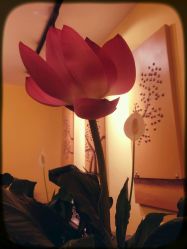 -FineYoga梵音瑜伽·普拉提