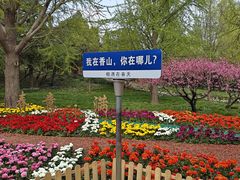 -香山公园