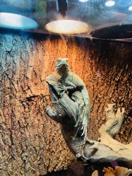 -酷嗒动物文化乐园(cutezoo西溪乐天城店)