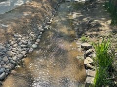 -白水寺森林公园