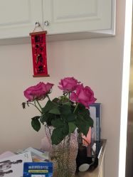 -名媛颜蕙·LPG官方旗舰店