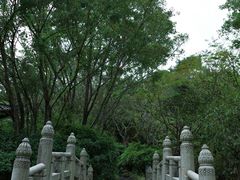 -深圳国际园林花卉博览园