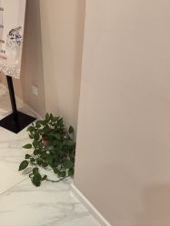-克丽缇娜