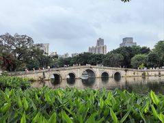 -荔湾湖公园