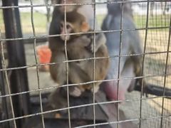 -武汉紫薇都市田园