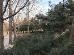 -元大都城垣遗址公园