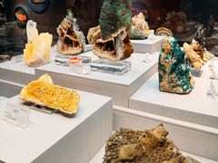 -湖南省地质博物馆