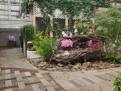 -石家庄市植物园