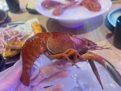 -红盔甲·小龙虾(人民广场店)