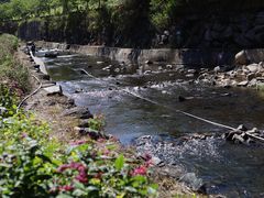 -马峦山郊野公园