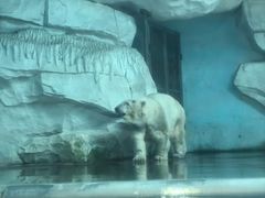 -泉城欧乐堡海洋极地世界