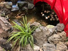 景观位-綱元·海鲜豆捞(明州里店)