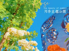 -大兴世界月季主题园