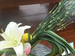 -荷兰花海