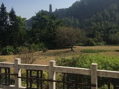 -南沙蒲洲花园