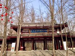-大慈恩寺(大雁塔)