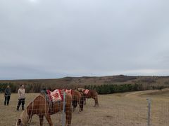 -塞罕坝国家级自然保护区