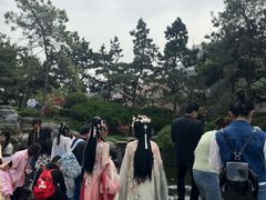 -西安青龙寺遗址景区