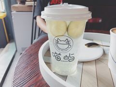 -喵屿·大理花园猫咖
