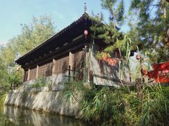 -合肥滨湖国家森林公园