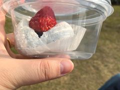 -满记甜品(苏州中心店)