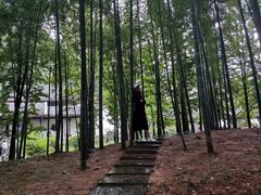 与环境融为一体了-岳麓书院