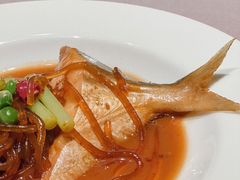 黄鱼-新荣记(南京西路店)