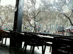 室外区-星巴克(洛阳中州路王府井店)