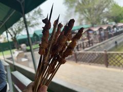 -尚庄度假村·庭台树下·户外烧烤·团建CS·轰趴营地(上庄水库店)