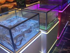 -西安W酒店·WEI全味西餐厅