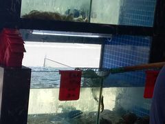 -501號台州海鲜餐厅(海创园店)